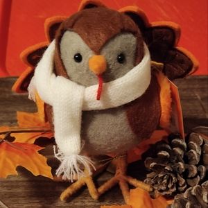 2022 Fall Hyde and Eek Turkey bird